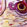 Purple Bird